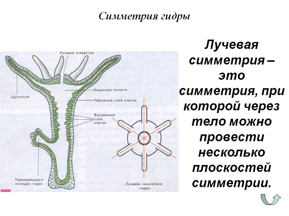 Кракен новый сайт