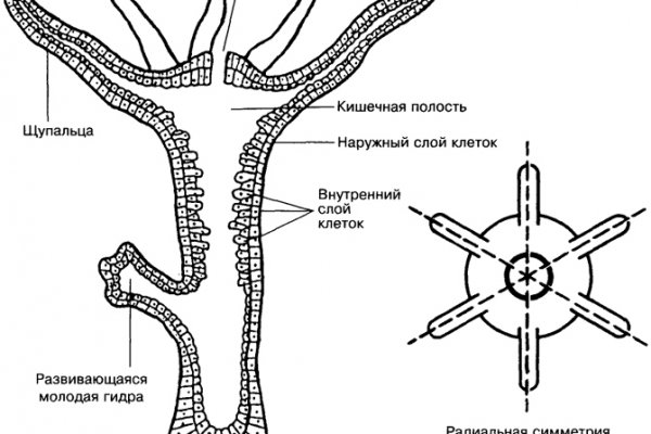 Пополнить кошелек кракен