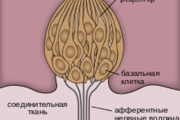 Кракен лучший маркетплейс