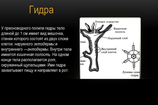 Адрес кракен в тор