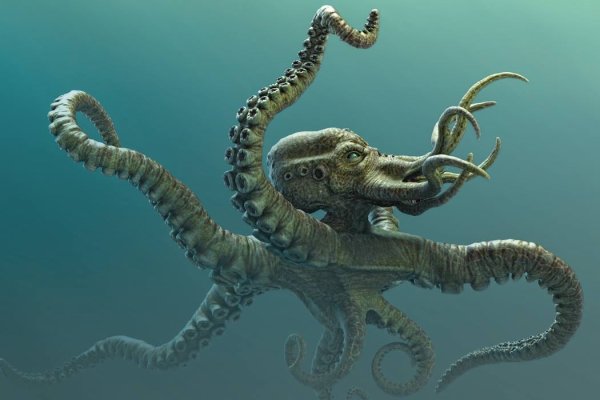 Зеркала на кракен kraken014 com