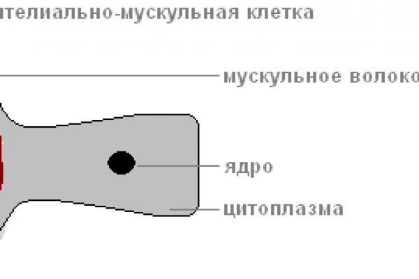 Ссылки даркнет