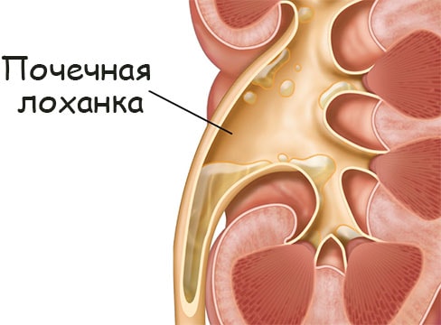 Kraken ссылка на сайт тор